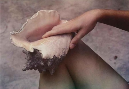 maisfica:Hand, shell, and leg, Paul Outerbridge Jr, 1938.