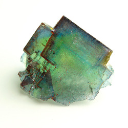 bijoux-et-mineraux:  Rainbow Fluorite -  Bergmännisch Glück Mine, Frohnau, Erzgebirge, Saxony, Germany  