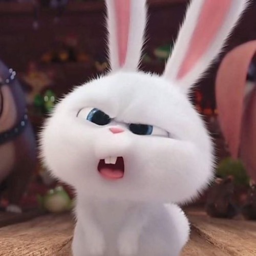 Just Bunny Things