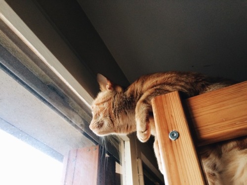 Waving Through A Window