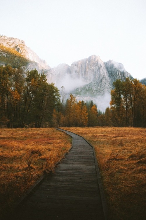 thecraziethewizard: Fall in Yosemite by Jeremiah Probodanu (IG: @thecraziethewizard)