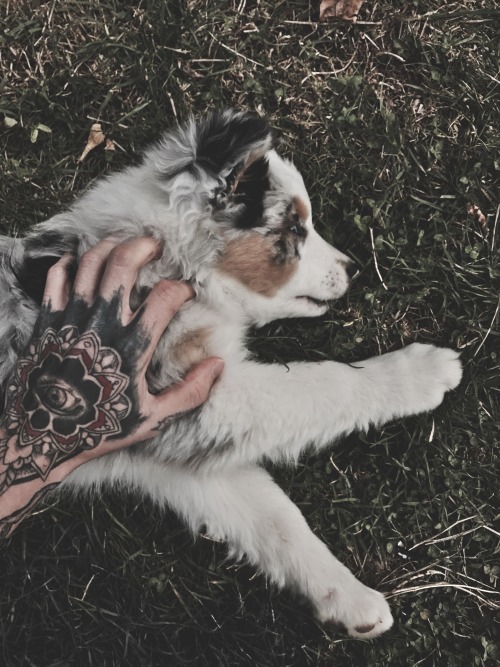 inkstaboy: Tatts and puppies - my 2 favorite things.