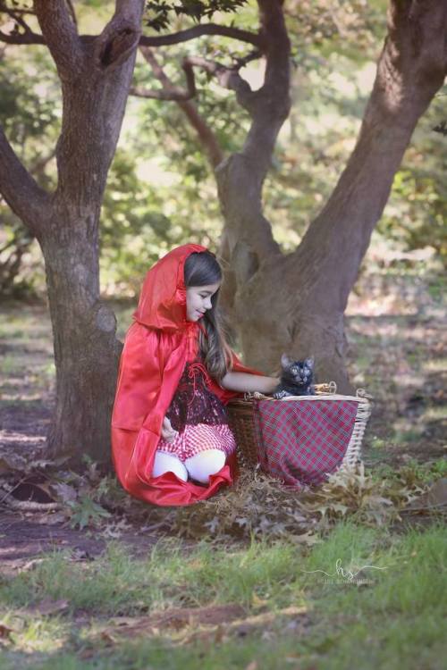 catsbeaversandducks:Little Red Riding Hood and the Little Bad Werecat“Had a photoshoot with my littl