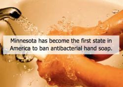 astrodidact:  Minnesota has passed a law that will make it illegal to manufacture and sell any cleaning products containing a common antibacterial chemical, Triclosan, by 2017. Triclosan has been a key ingredient in 75% of all soaps, detergents, deodorant