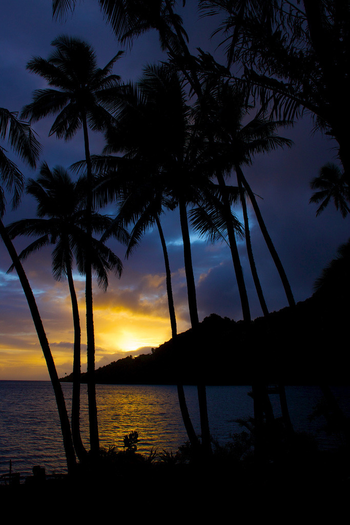 mistymorningme:  Beqa sunrise by Nick Hobgood