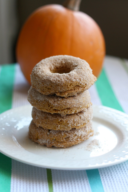 Vegan Cinnamon Sugar Pumpkin Doughnuts 1 cup spelt flour ½ cup sugar 1½ t. baking powder ¼ t. salt ⅛