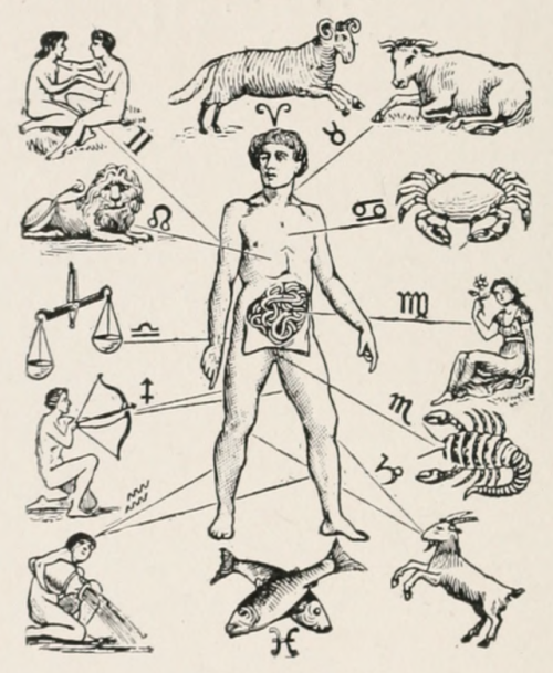 nemfrog: Parts of the body and corresponding star signs. Earthology; humanity characterized by 