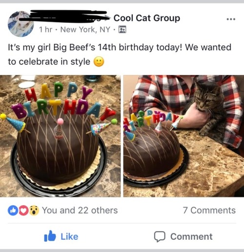 invisiblechacha:goatpolice:I’m part of a cat appreciation fb group and this cats name is Big BeefBig