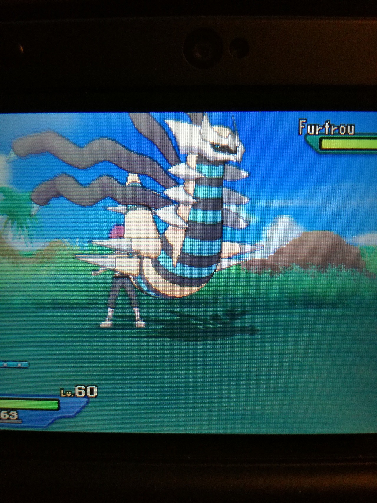 Shiny hunting giratina right now (I'll update on when I get it