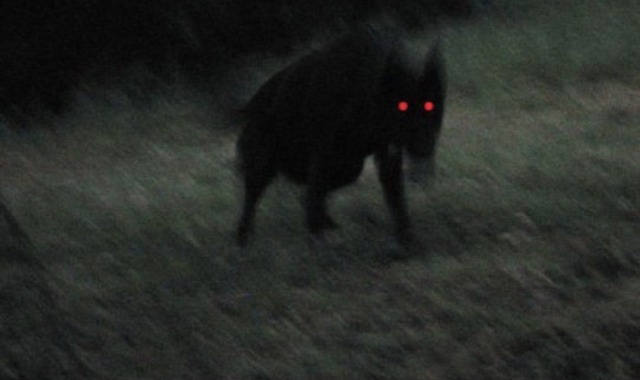 #devil aesthetic on Tumblr