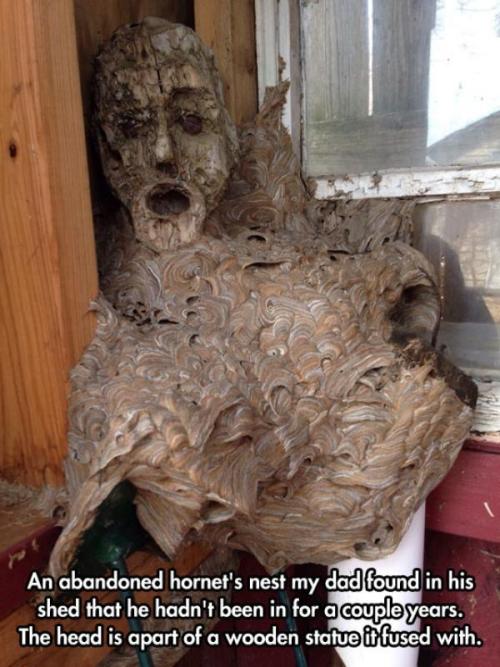 ……   LIES!  THIS IS CLEARLY A DEMON SWARM!  CALL THE MILITARY!