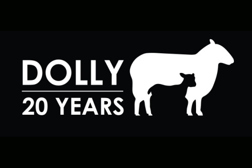 The life of Dolly the sheep20 years ago today - Dolly the sheep was born (5th July 1996) We take a l