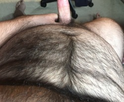 hunghairybear:  bjornmannen:  Tallboy.  Yowza!