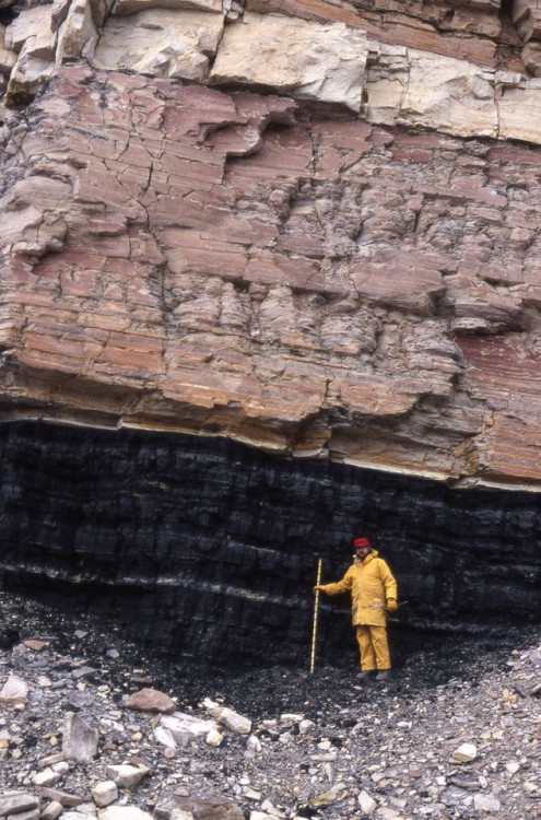 relatetorocks:“Unperturbed outcrop of a coal seam in Antarctica. Deposits Magazine, Palaeobota