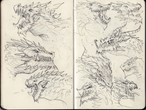 Dragon sketches