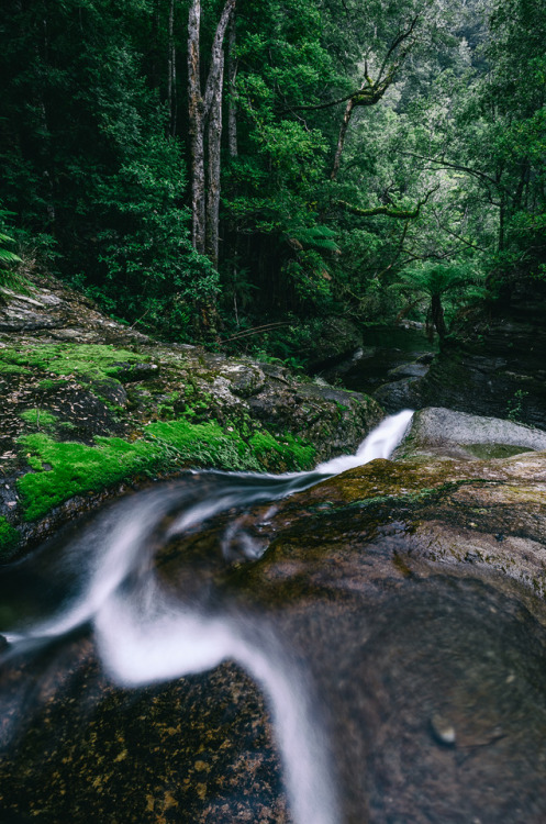 mirroredphotography:  Heading off to Germany and Sweden for 6 weeks, hope to find waterfalls in the forest This shots from Tasmania <3  