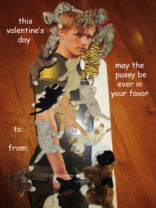 karinanirak:  Cardboard Chronicles: Peeta gets romantic this Valentine’s Day