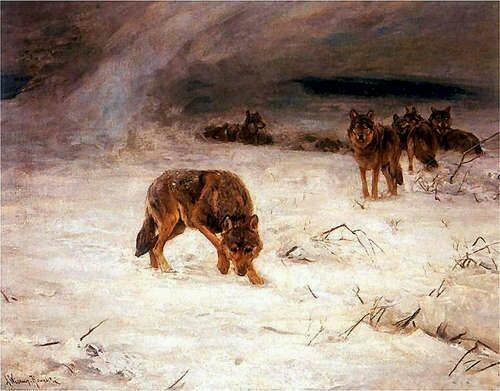 madness-and-gods:madness-and-gods:Some wonderful wolves paintings by Alfred Wierusz-Kowalski (Polish