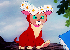 adoensis-blog:  Disney Cats 