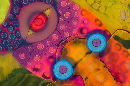 asylum-art-2:   Bruce Riley Creates Psychedelic Art By Pouring Paint And Resin Onto