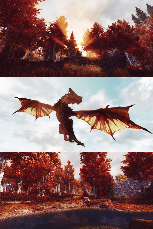 letsgetonwithit:  ♛ Skyrim prettiness (6/?)