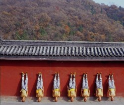 taichicenter:  These are all real shaolin