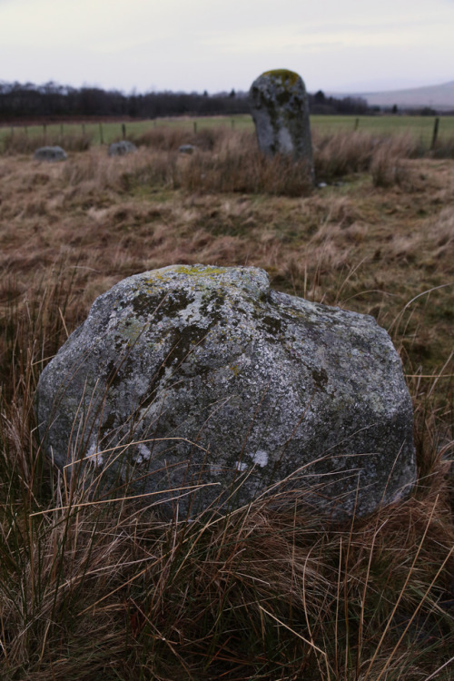 thesilicontribesman:Glenquicken Stone Circle, nr Creetown, Dumfries and Galloway, Scotland, 2.1.18.A