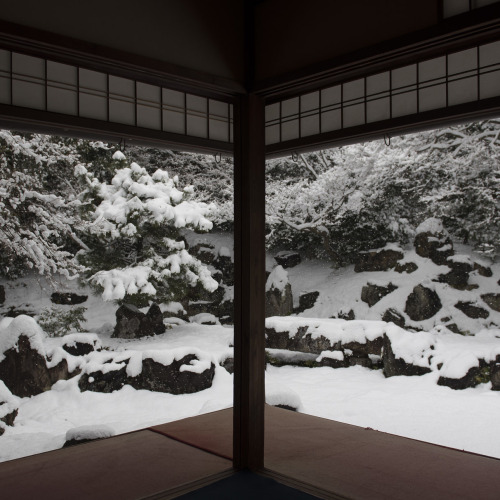 uroko:  snowy days 💚 | ©©©