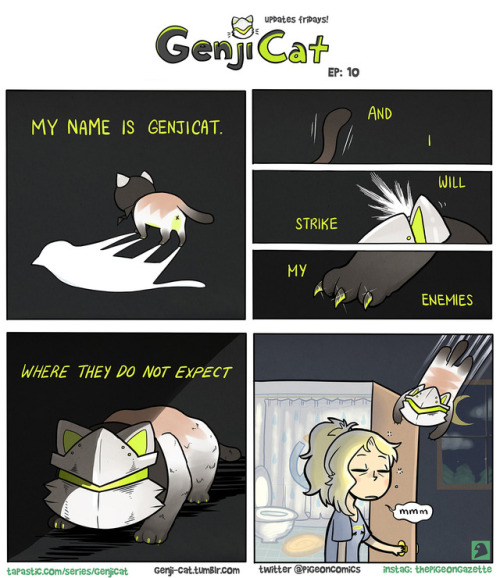 XXX genji-cat:  happy friday! watch out for flanking photo