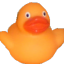 funnyanimalguy