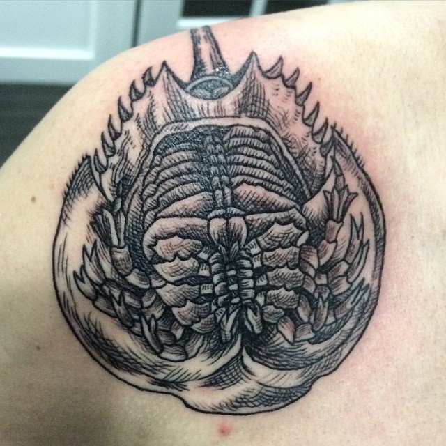 Horseshoe crab drawn by me inked by James Spier at Model Citizen Ithaca NY   Crab tattoo Leg tattoos Ocean sleeve tattoos