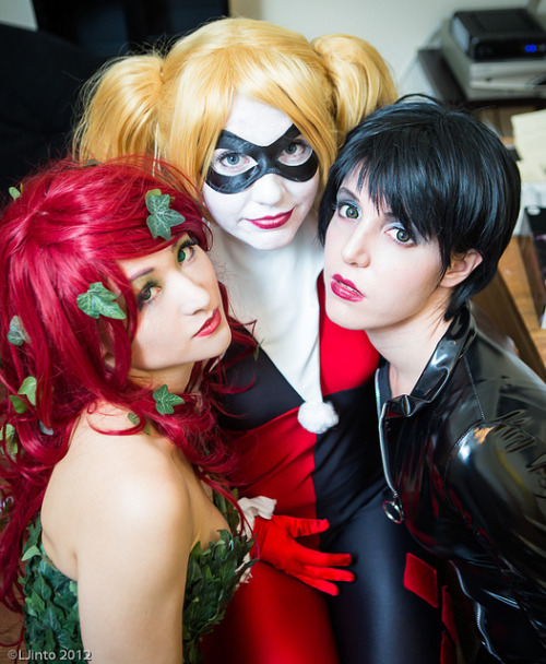 kamisamafr:  Harley Quinn, Poison Ivy & Catwoman Via Leonard Jinto 