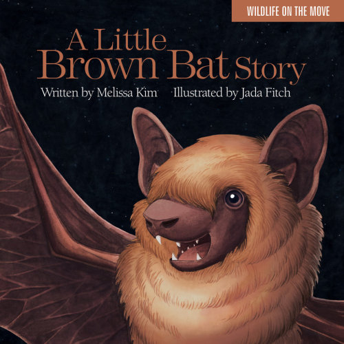 A Little Brown Bat Story by JadaFitchcute baaaaat 