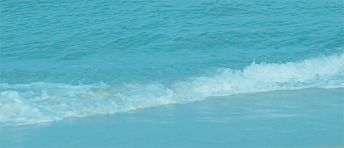 jiminrolls:봄날 Cinematography