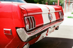 thefilmphotographydiary:  1965 Ford Mustang