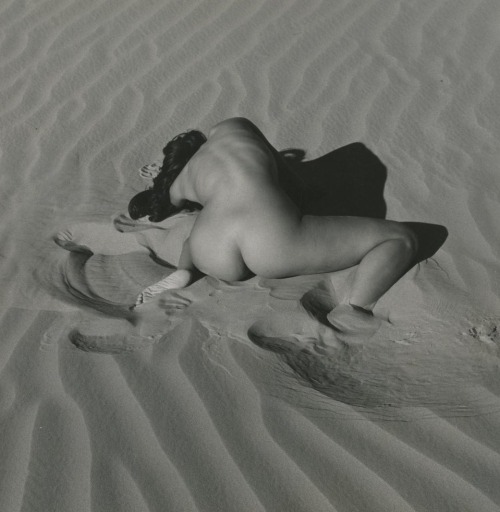 paolo-streito-1264:  Andre De Dienes, Nude, circa 1955.