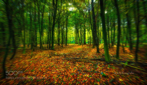 Through the forest by Silvia_Grosshanten