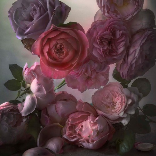 nevver:In lieu of flowers, Nick Knight