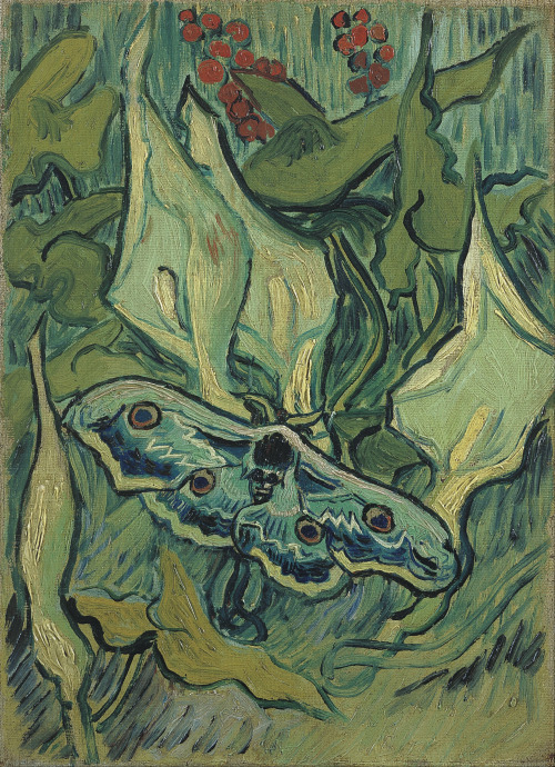 artandopinion:  Emperor Moth 1889 Vincent van Gogh