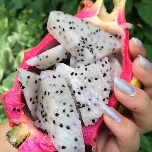 interfectvm:  Cactus fruit - Dragon Fruit