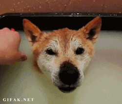 foodliciouslove:  Feels So Good…There’s Nothing Like a Good Soak :) 