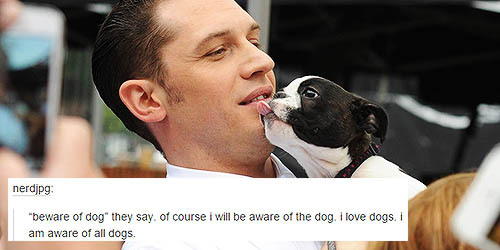 stripperdameron:  tom hardy + dogs (oops)   post of the millennium