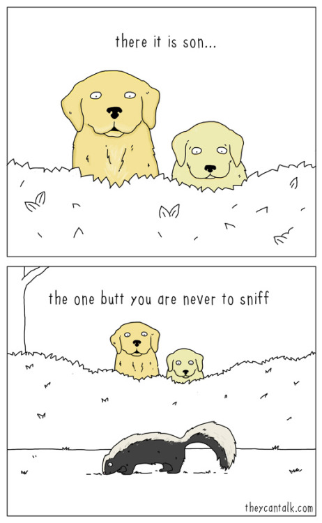 theycantalk:  forbidden