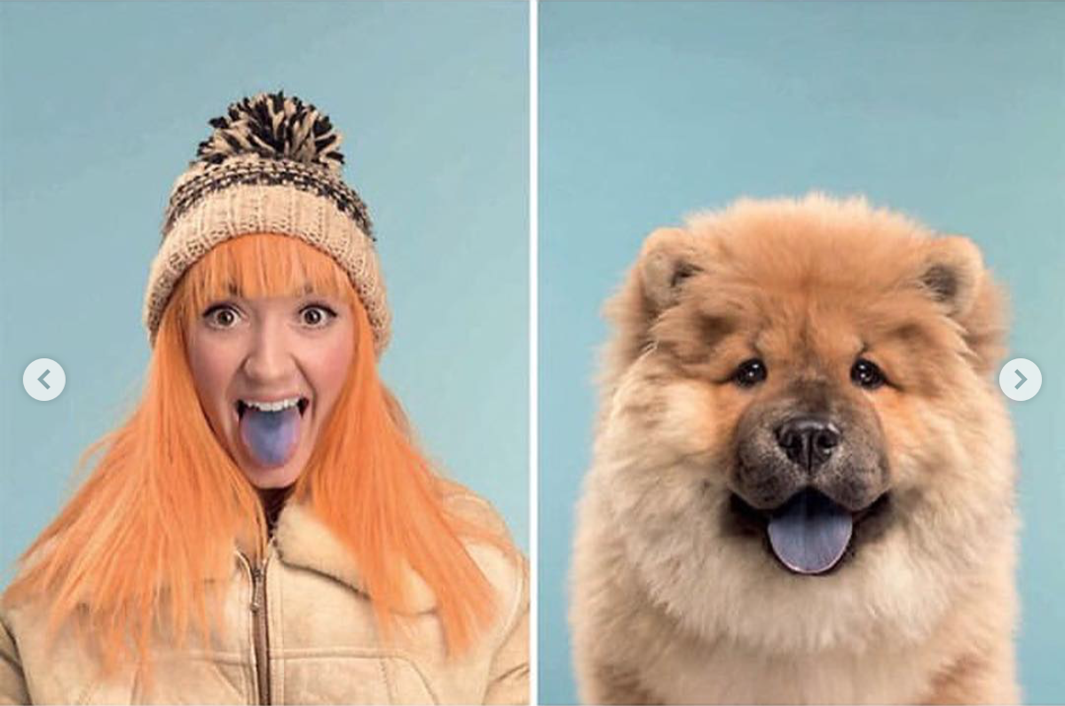 babyanimalgifs: Photographer puts dogs and their owners side by side, and the resemblance