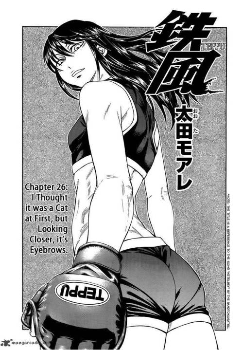 fitgrills:  Hey, read (and support) this manga. It’s called Teppu, and it’s about highschool girls fighting in women’s MMA. It’s pretty cool. 