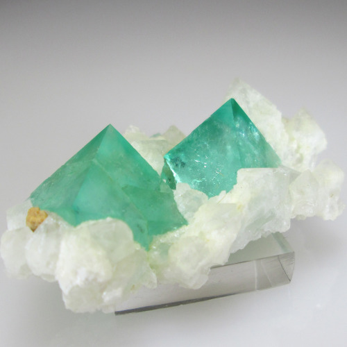 unearthedgemstones:   Two bold neon green octahedral Fluorite crystals sit on a bed of white Quartz crystals   http://unearthedgemstones.tumblr.com/ 