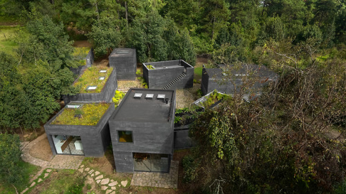 architorturedsouls:Casa Bruma / Fernanda Canalesph: Rafael Gamo