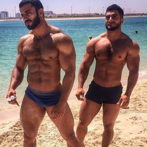 MUSCLE CORPS