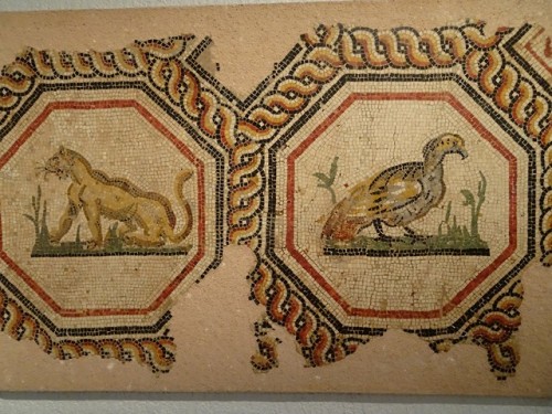 philoursmars:Lyon - Lugdunum. Des mosaïques et des inscriptions.- mosaïque de Bacchus Indi