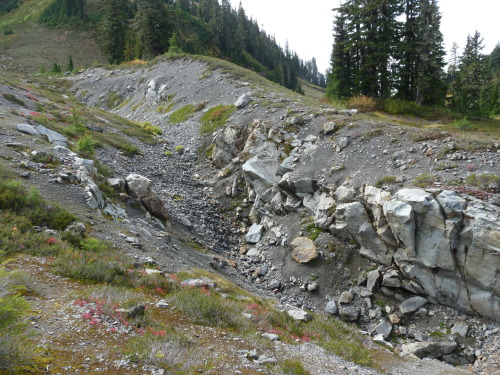 dollar-bin-jazz:Impressive looking fault I saw near Twin Lakes in the Cascades. One of the people I 